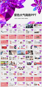 专业营销与高效汇报 产品介绍与工作总结PPT模板